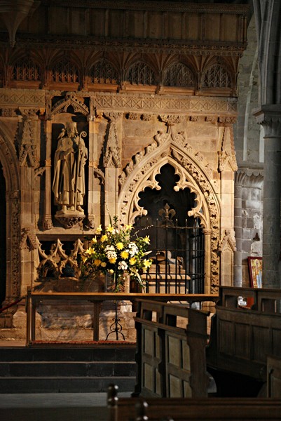 the Dove on St David's shoulder